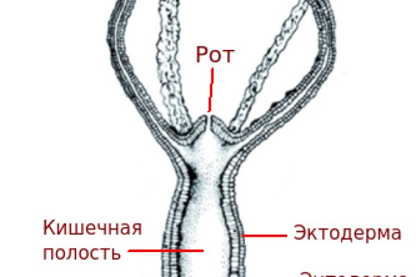 Как зарегистрироваться в kraken