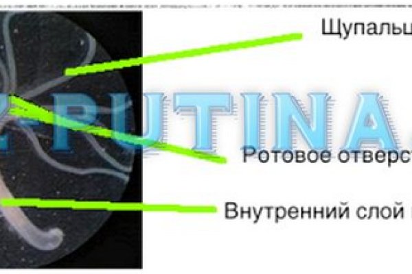 Список луковых tor сайтов