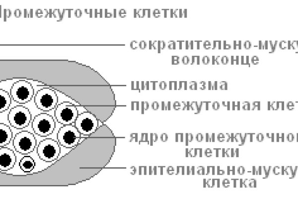 Кракен даркнет 2krnmarket